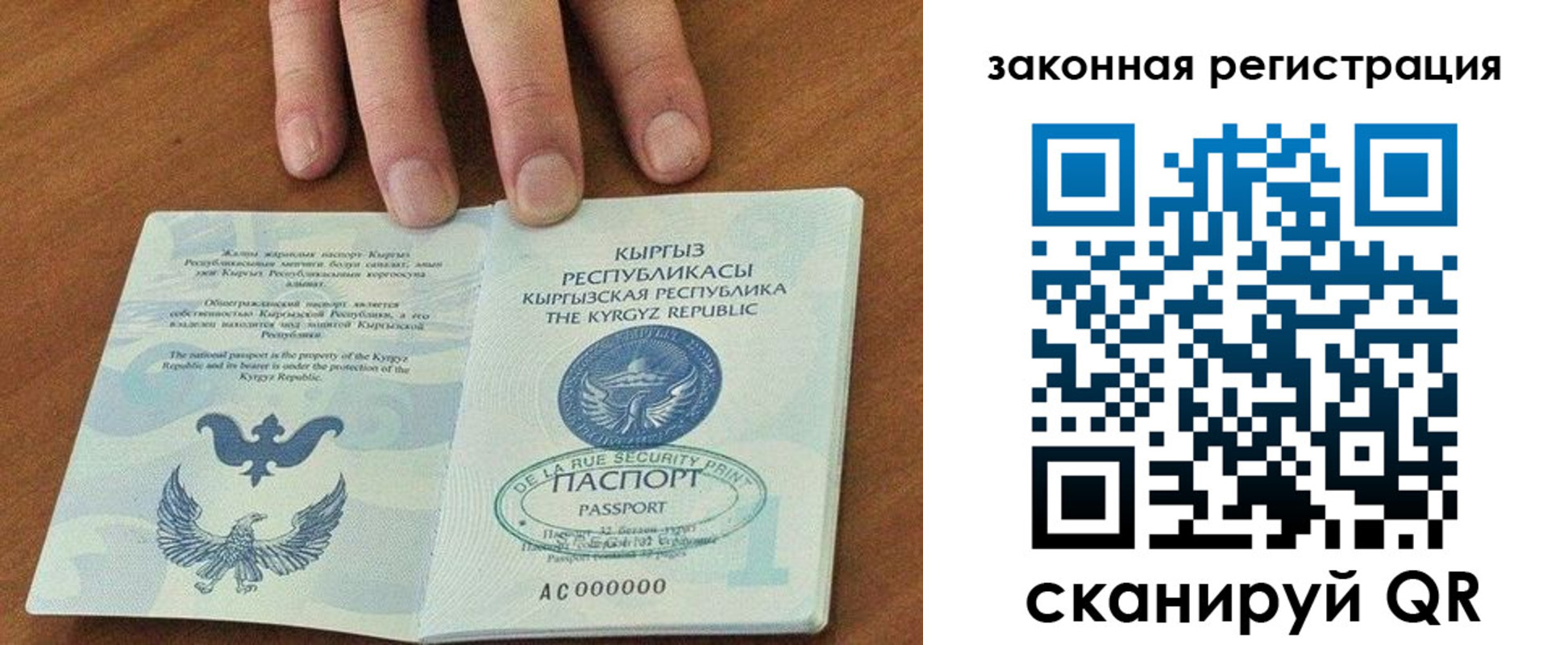 прописка гарантия в Мытищах